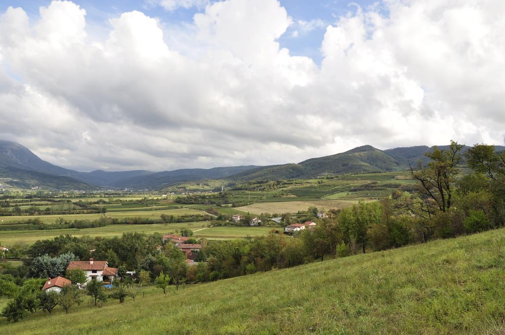 Holiday Home Slavi Vipava Exterior foto